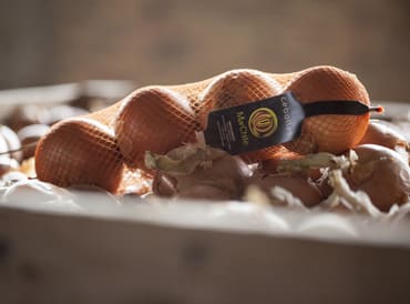 Cebollas marchite buti