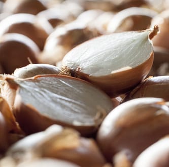 Onion exporters | Cebollas Marchite Onion exporters | Wholesale Onions